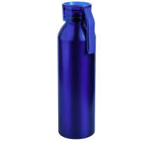 Бутылка для воды VIK BLUE 650мл.
