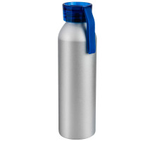 Бутылка для воды VIK SILVER 650мл.
