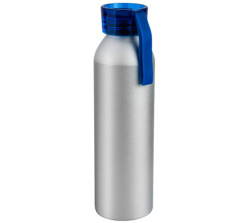 Бутылка для воды VIK SILVER 650мл. Серебристая с синей крышкой V16141.01