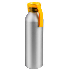 Бутылка для воды VIK SILVER 650мл.