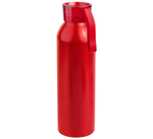 Бутылка для воды VIK RED 650мл.