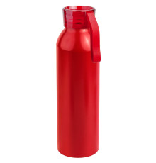 Бутылка для воды VIK RED 650мл.