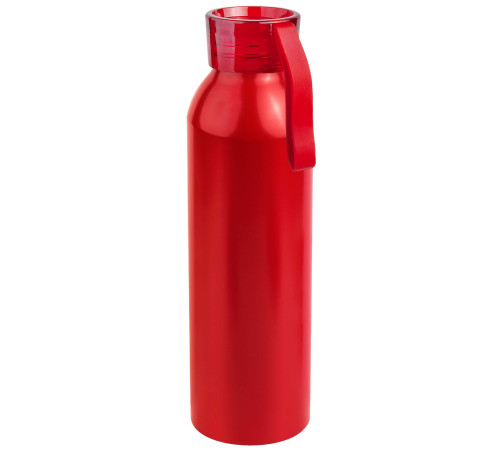 Бутылка для воды VIK RED 650мл. Красная с красной крышкой V16144.03