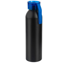 Бутылка для воды VIK BLACK 650мл.